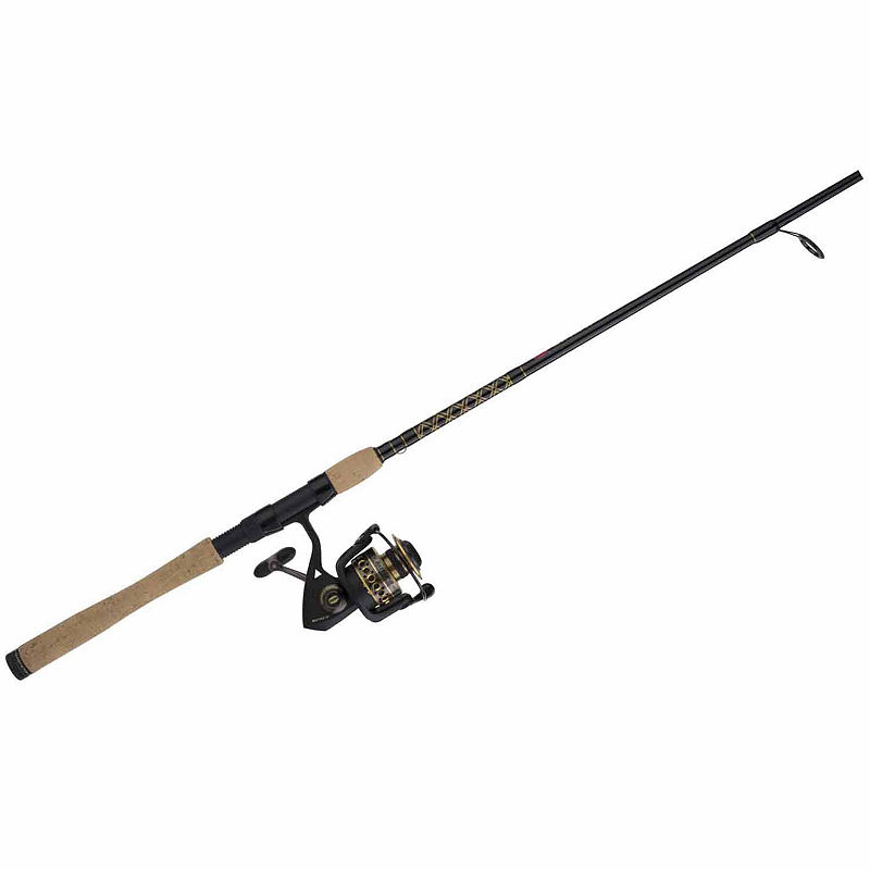 UPC 031324160248 product image for Penn International Spinning Combo Rod and Reel | upcitemdb.com