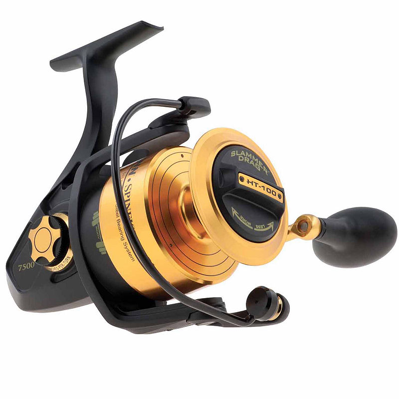 UPC 031324197428 product image for Penn International Spinning Combo Rod and Reel | upcitemdb.com