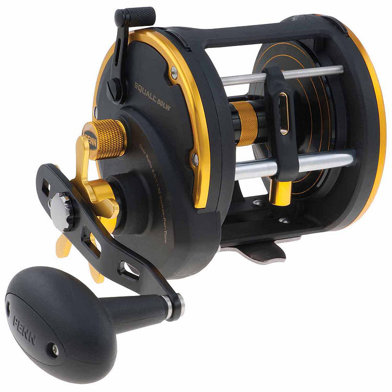 UPC 031324197121 product image for Penn International Baitcasting Reel | upcitemdb.com
