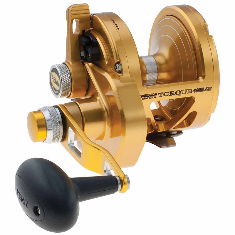 UPC 031324202962 product image for Penn International Baitcasting Reel | upcitemdb.com