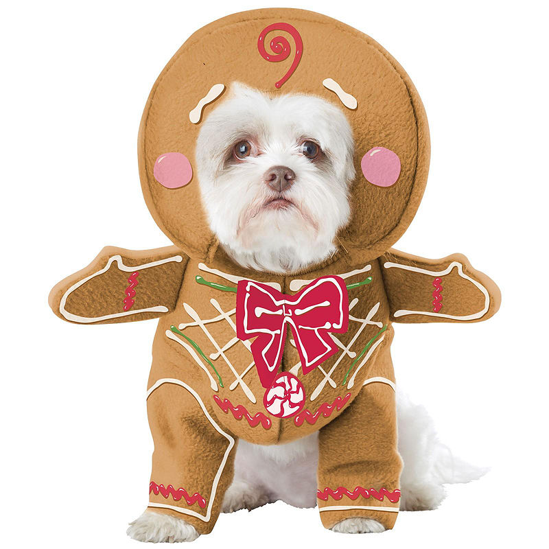 Buyseasons Gingerbread Pup Pet Costume - Large, Brown