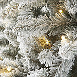 North Pole Trading Co. 7 Foot Westlake Fir Pre-Lit Christmas Tree