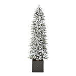 North Pole Trading Co. 7 Foot Burlington Fir Slim LED Pre-Lit Flocked Potted Christmas Tree
