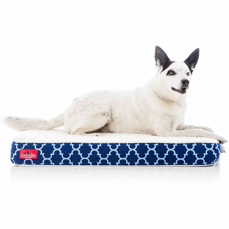 UPC 848971025741 product image for BRINDLE Waterproof Designer Memory Foam Pet Bed | upcitemdb.com