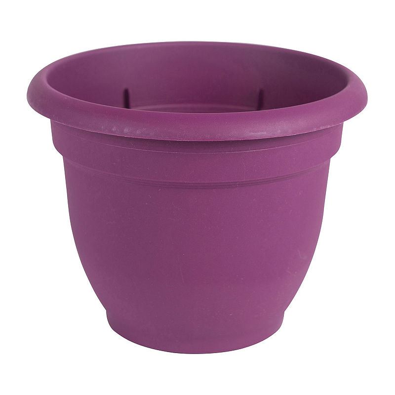 Bloem Ariana Self Watering 12