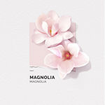 Solinotes Magnolia Eau De Parfum, 1.7 Oz