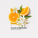 Solinotes Orange Blossom Eau De Parfum Rollerball, 0.33 Oz