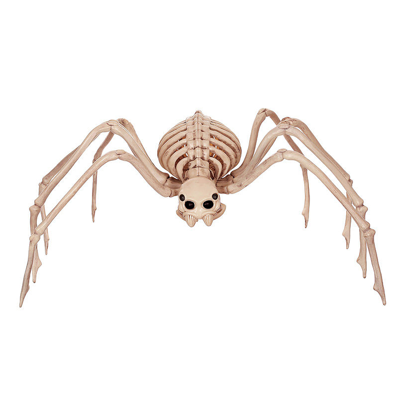 Buyseasons Skeleton Spider, White