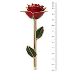 24K Gold Dipped Red Rose