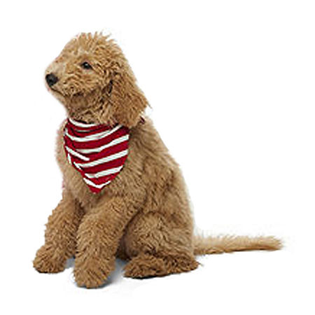 North Pole Trading Co. Team Santa Pet Clothes, X-small-small , Red