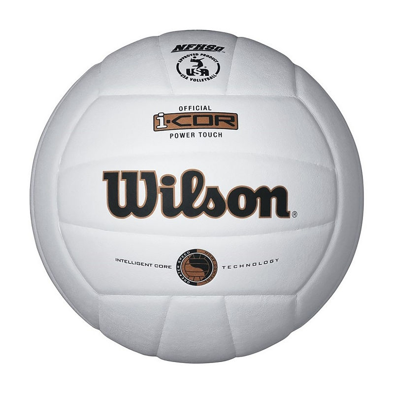 UPC 026388053698 product image for Wilson I-Cor Power Touch Volleyball | upcitemdb.com