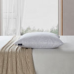 Scott Living Cotton Medium Density Pillow