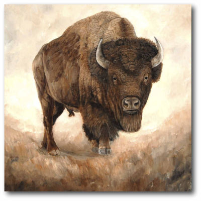 Buffalo Canvas Wall Art