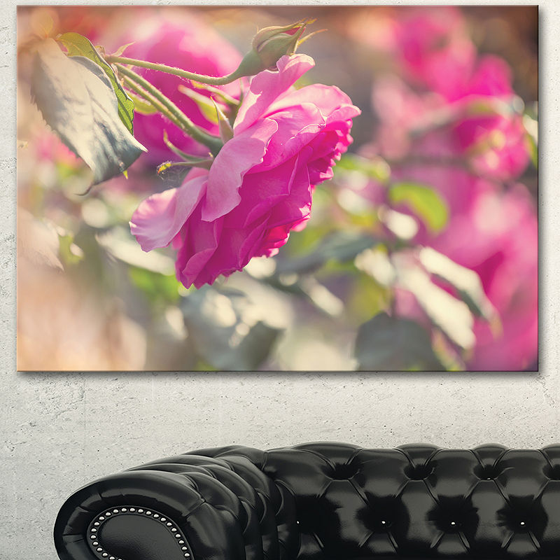 Designart Beautiful Pink Rose Flowers Floral Canvas Art Print