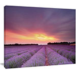 Designart Beautiful Sunset Over Lavender Rows Landscape Canvas Wall Art