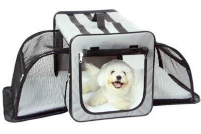 collapsible travel dog crate