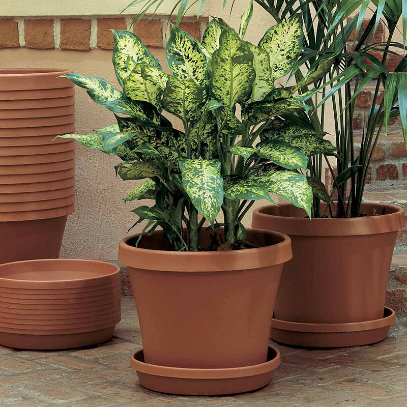 Bloem Terra Pot 10