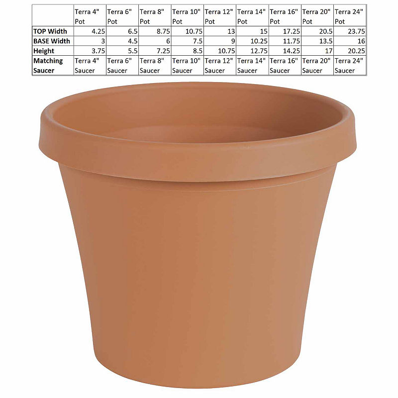 Bloem Terra Pot 12