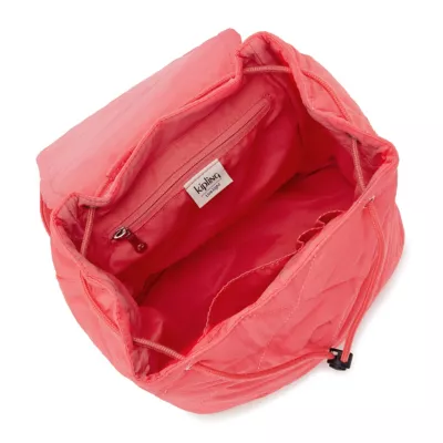 5 Gym Bag Essentials for Men - Adanna Dill  Gym bag essentials, Gym bag essentials  mens, Essential bag