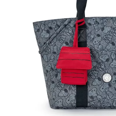 Reeeallly?The Louis Vuitton Inspired Doggie Bag