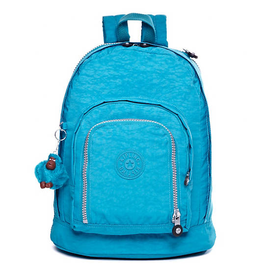 Hal Large Expandable Backpack, True Blue Tonal, large