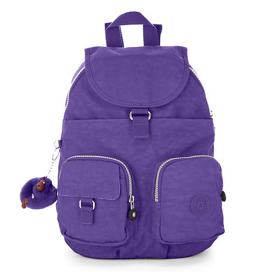 Firefly Small Backpack, Quartz Metallic, large