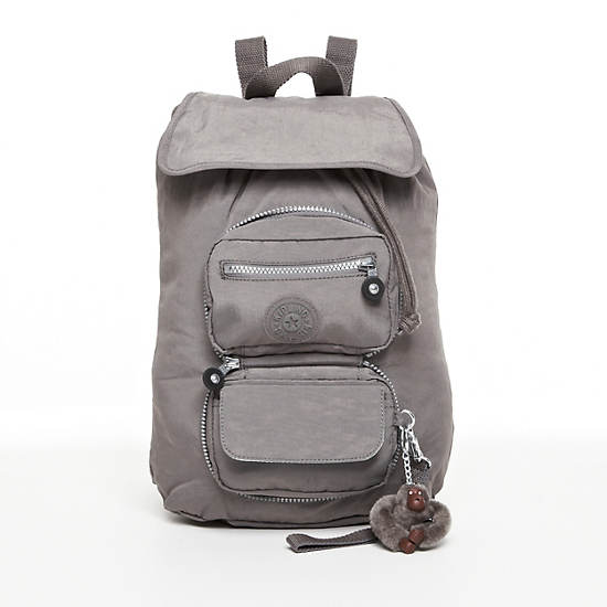Alicia Foldable Backpack, Metallic Dove, large