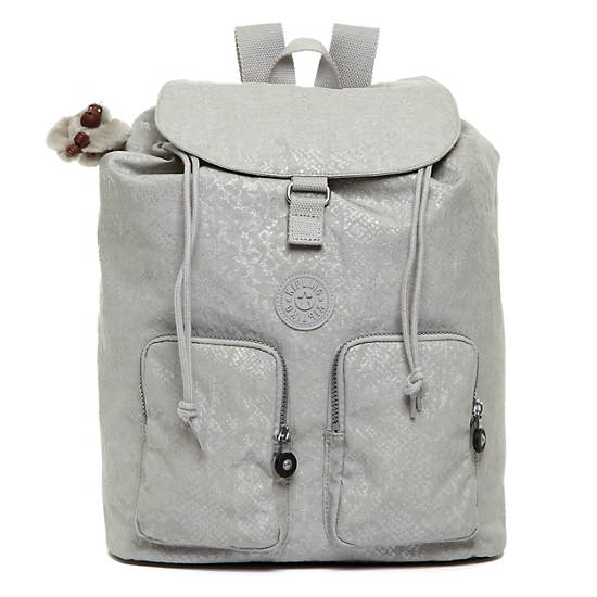 Raychel Backpack, Bright Silver, large