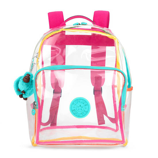 small clear bookbag