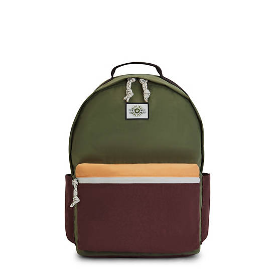 Damien Large Laptop Backpack, Valley Moss, large