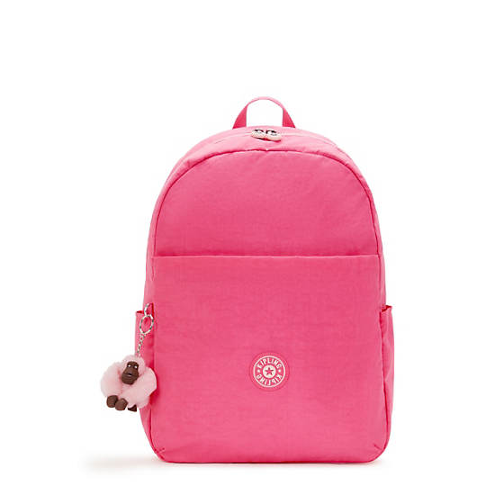 Haydar 15" Laptop Backpack, Happy Pink Combo, large