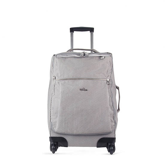 Darcey Small Carry-On Rolling Luggage, Truly Grey Rainbow, large