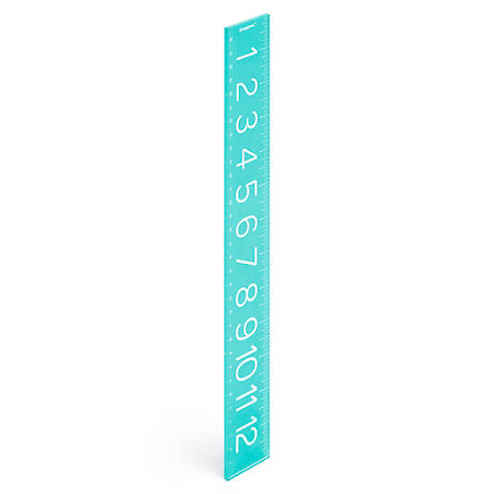 Poppin Ruler, Tender Sage, large Poppin Ruler, Tender Sage, large
