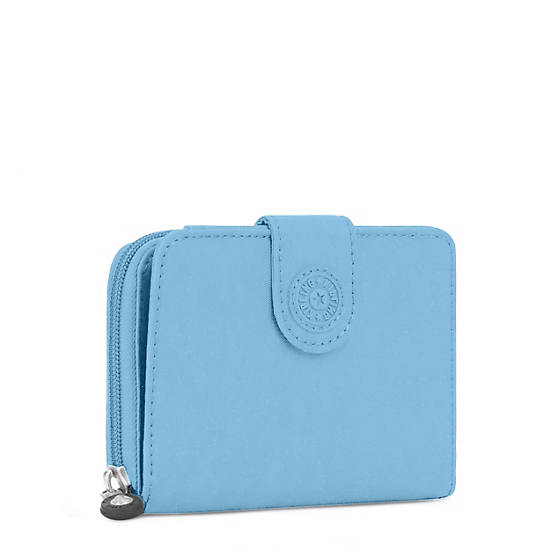 New Money Small Credit Card Wallet, Fairy Blue C, large