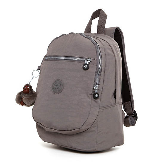 Challenger II Small Backpack, Metallic Dove, large
