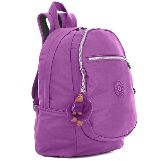 Challenger II Small Backpack, Violet Purple, large