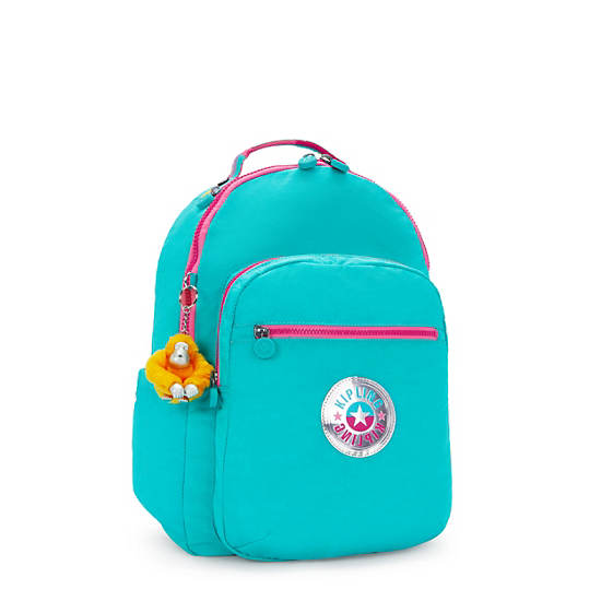 Seoul Large 15" Laptop Backpack, Peacock Teal Stripe, large