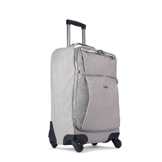 Darcey Small Carry-On Rolling Luggage, Truly Grey Rainbow, large
