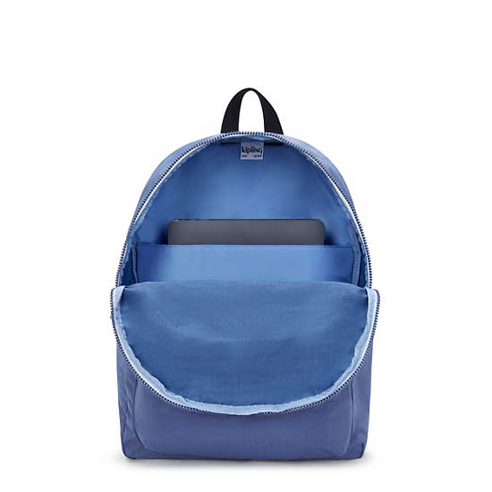 Curtis Large 17" Laptop Backpack, Blue Lover C, large