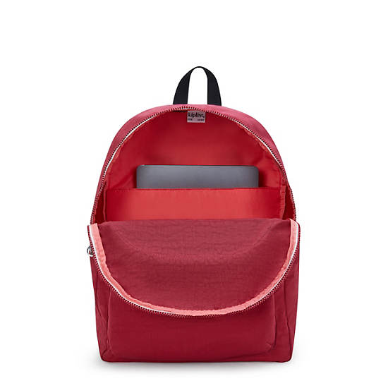 Curtis Large 17" Laptop Backpack, Funky Red C, large