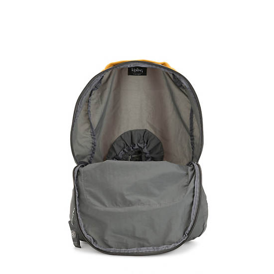 Backpack Foldable Large Backpack, Black Rainbow Zipper, large