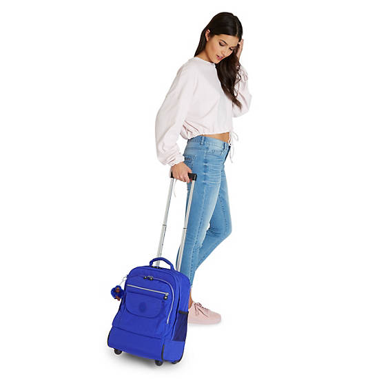 Sanaa Large Rolling Backpack, New Skate Print, large