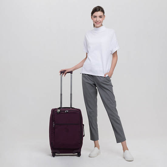 Darcey Small Carry-On Rolling Luggage, Dark Plum, large
