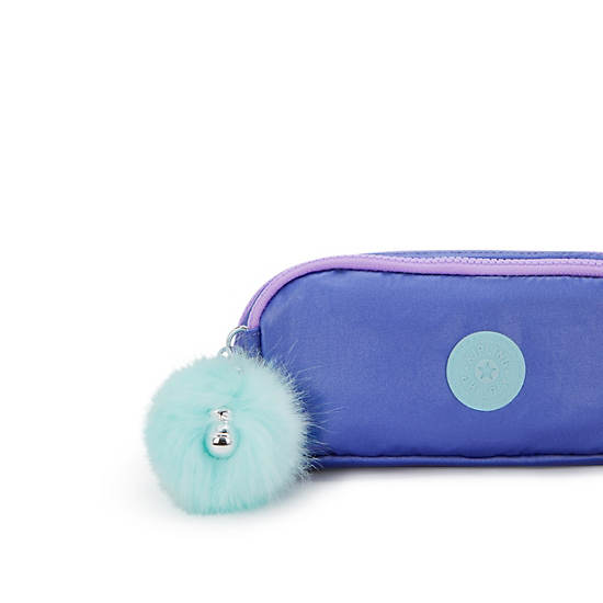 Gitroy Metallic Pencil Case, Rainbow, large