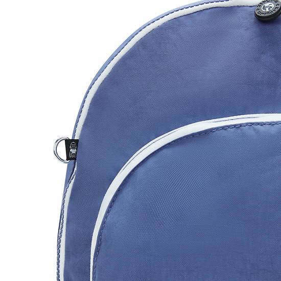 Curtis Large 17" Laptop Backpack, Blue Lover C, large