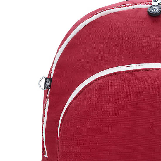 Curtis Large 17" Laptop Backpack, Funky Red C, large