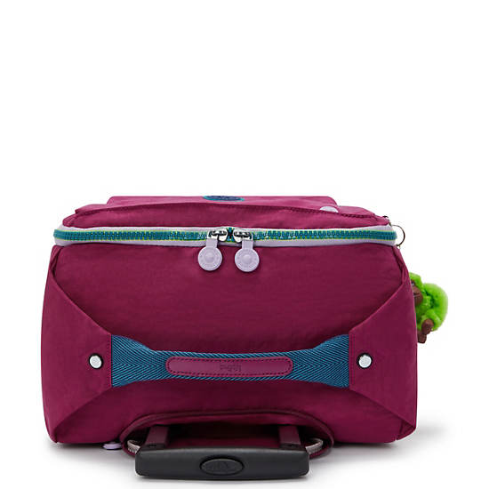 Darcey Small Carry-On Rolling Luggage, Purple Fig WB, large