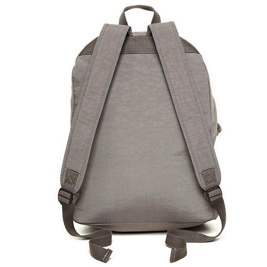 Ridge Backpack, Metallic Dove, large