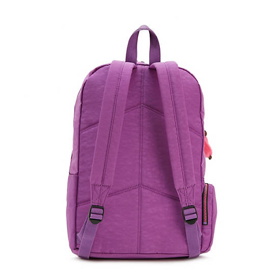 Dawson Large 15" Laptop Backpack, VT Ice lavender, large