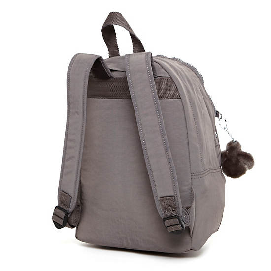 Challenger II Small Backpack, Metallic Dove, large